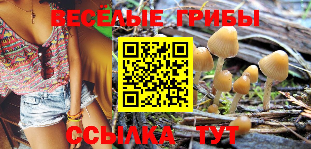Курчатов  Галлюциногенные грибы мицелий  Вход с VPN  Галлюциногенные грибы MAGIC MUSHROOMS 